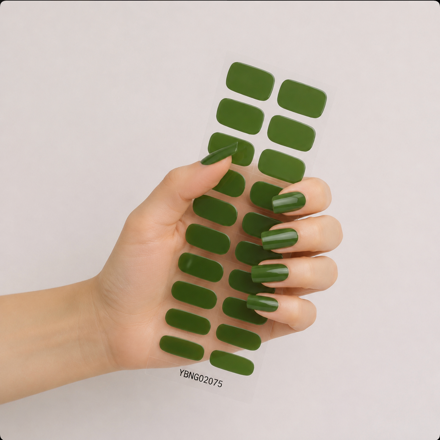 Lámina Verde Oliva